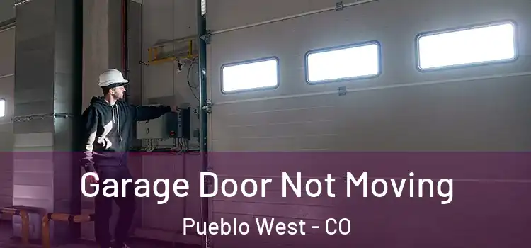  Garage Door Not Moving Pueblo West - CO